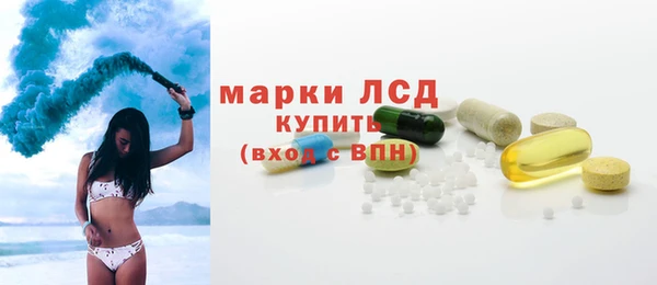 хмурый Арсеньев