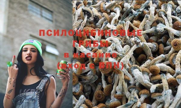 хмурый Арсеньев