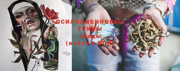 хмурый Арсеньев