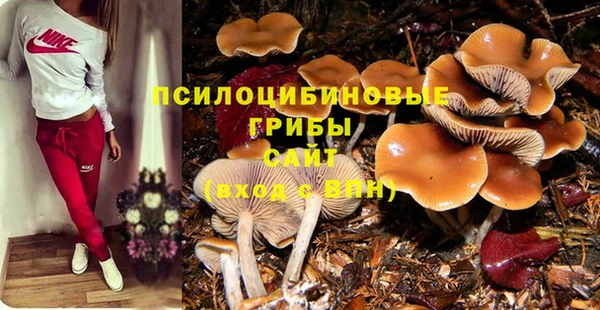 ECSTASY Покров